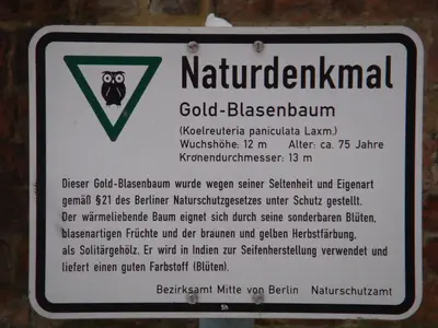 Berlin photo 13