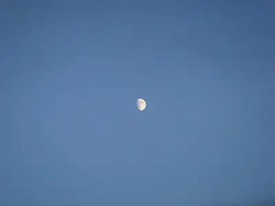 DSC03818