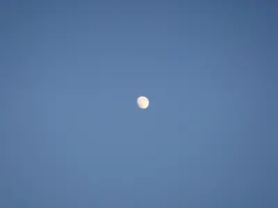 DSC03906