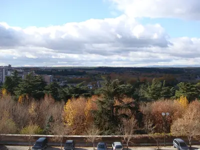 DSC03930
