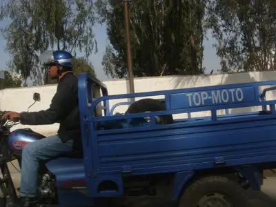 Morocco photo 32