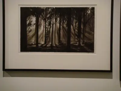Nice photo 36