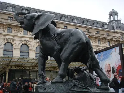 Paris photo 39