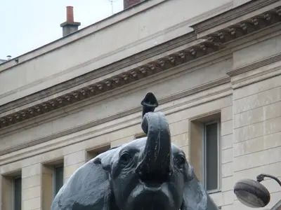 Paris photo 44