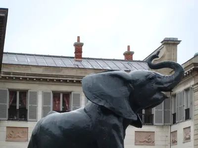 Paris photo 45