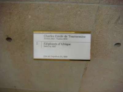 Paris photo 213