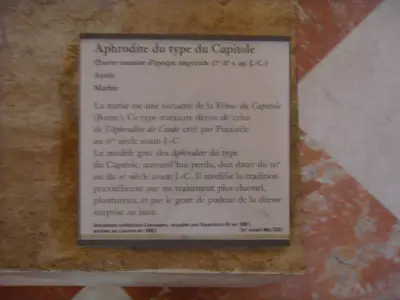 Paris photo 428