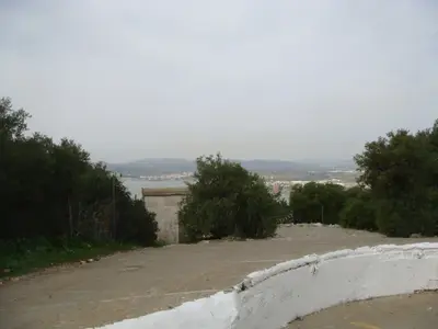 DSC03504