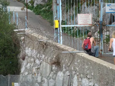 DSC03510