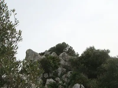 DSC03594