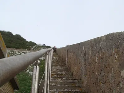 DSC03608
