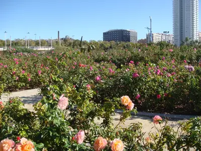 Valencia photo 5