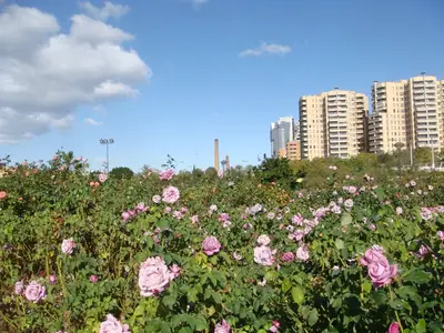 Valencia photo 8