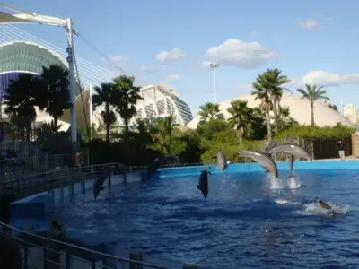 Valencia photo 18
