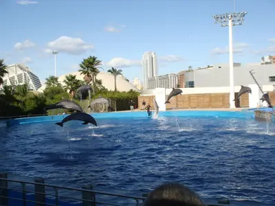 Valencia photo 20