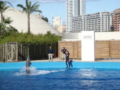 Valencia photo 24