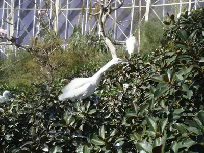 Valencia photo 28