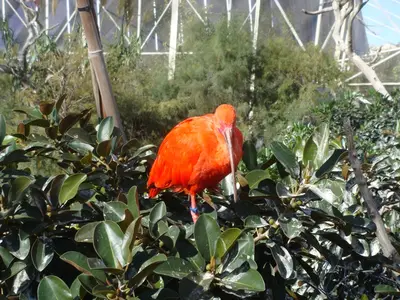 Valencia photo 29