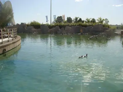 Valencia photo 32
