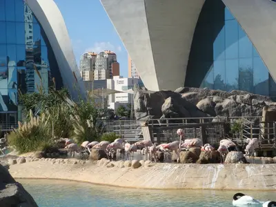 Valencia photo 48