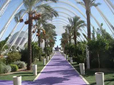 Valencia photo 54