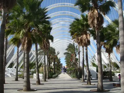 Valencia photo 55