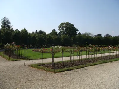 Vienna photo 26
