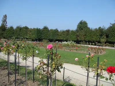 Vienna photo 27