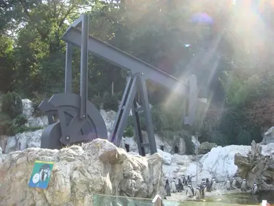 Vienna photo 63