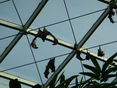Vienna photo 79