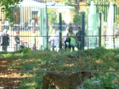 Vienna photo 116
