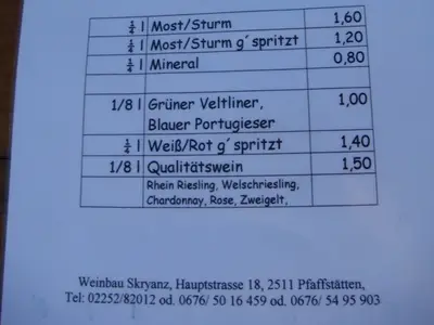 Vienna photo 217